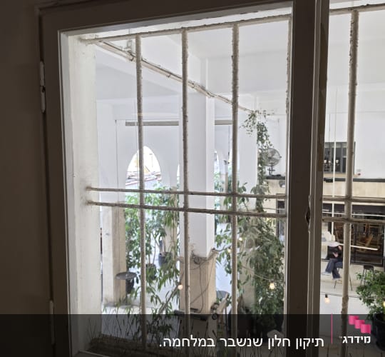 חלון עם סורגים וצמחים ברקע